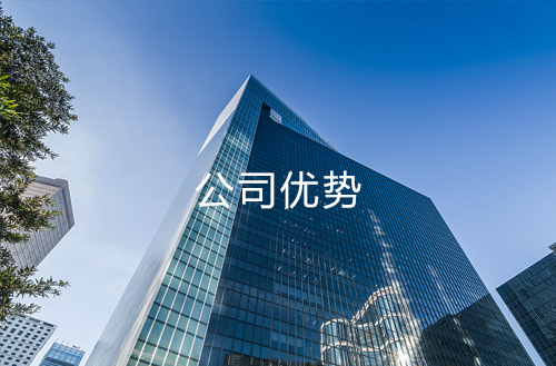 公司优势