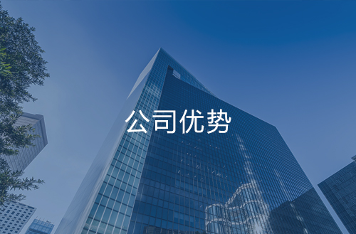 公司优势